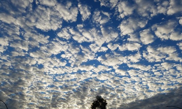 Cool Clouds